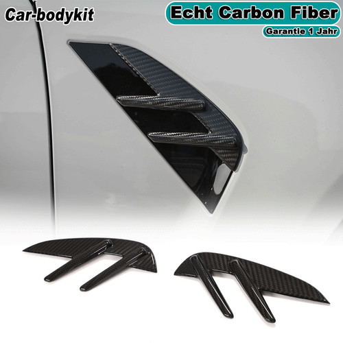 Dry carbon kotflügel - dry,